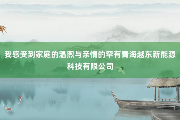 我感受到家庭的温煦与亲情的罕有青海越东新能源科技有限公司