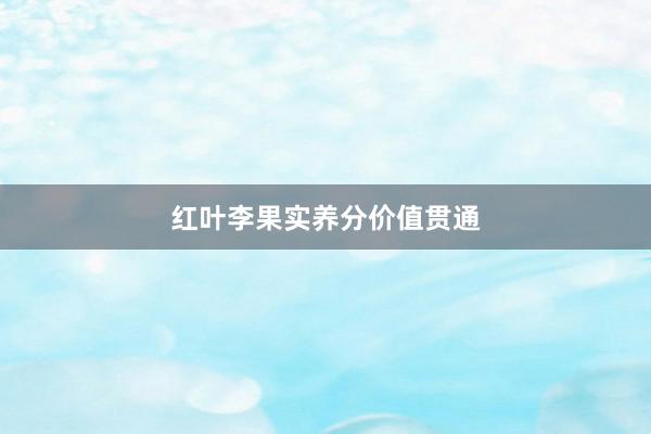 红叶李果实养分价值贯通