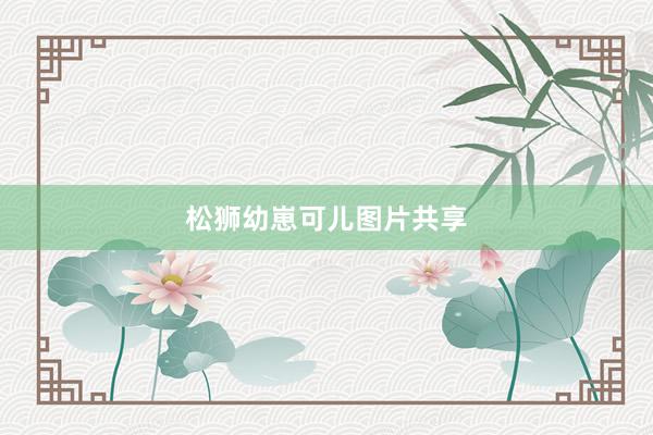 松狮幼崽可儿图片共享
