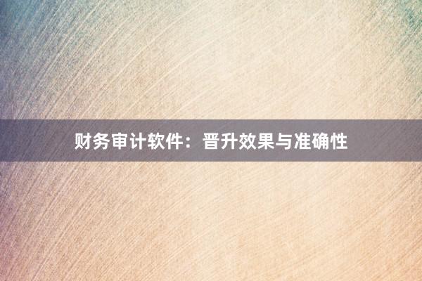 财务审计软件:晋升效果与准确性